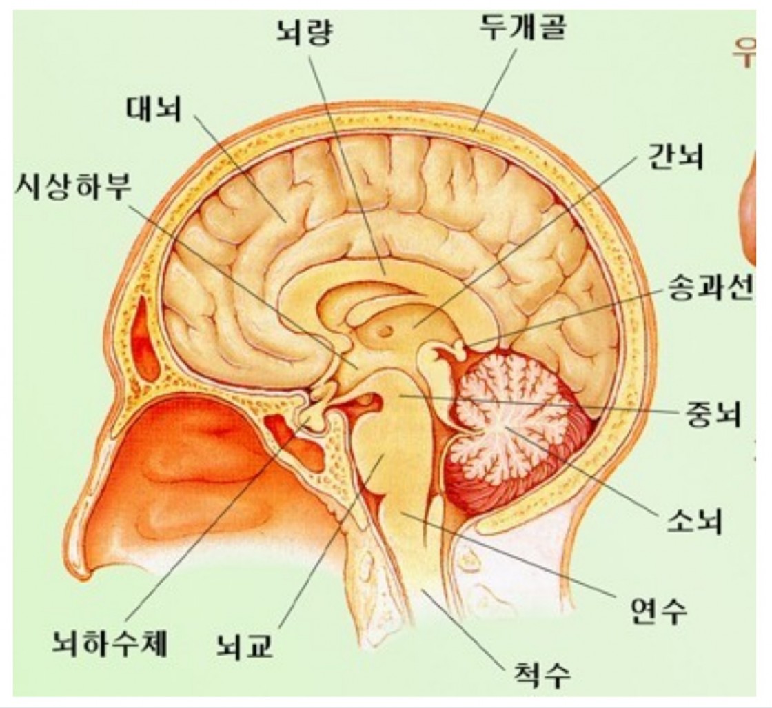 스크린샷 2020-10-06 오후 5.50.40.jpg