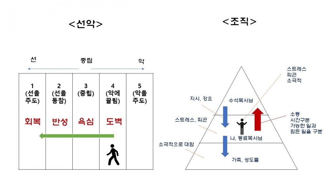 선악, 조직.jpg