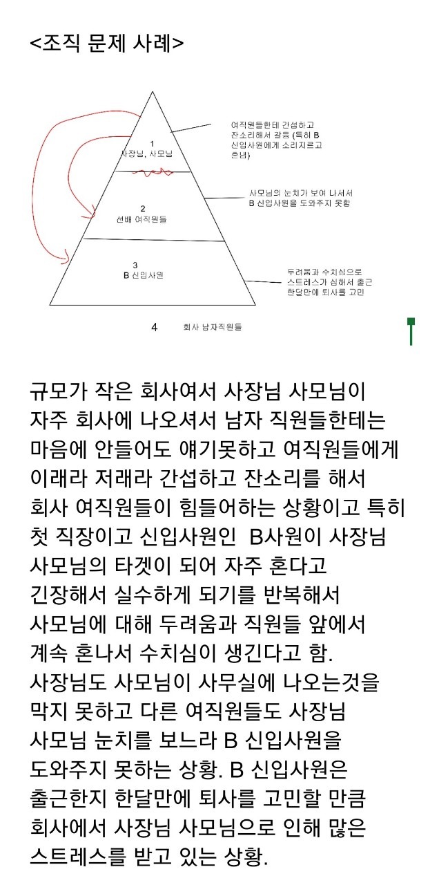 과제 2. 조직 문제 사례와 도형.jpg