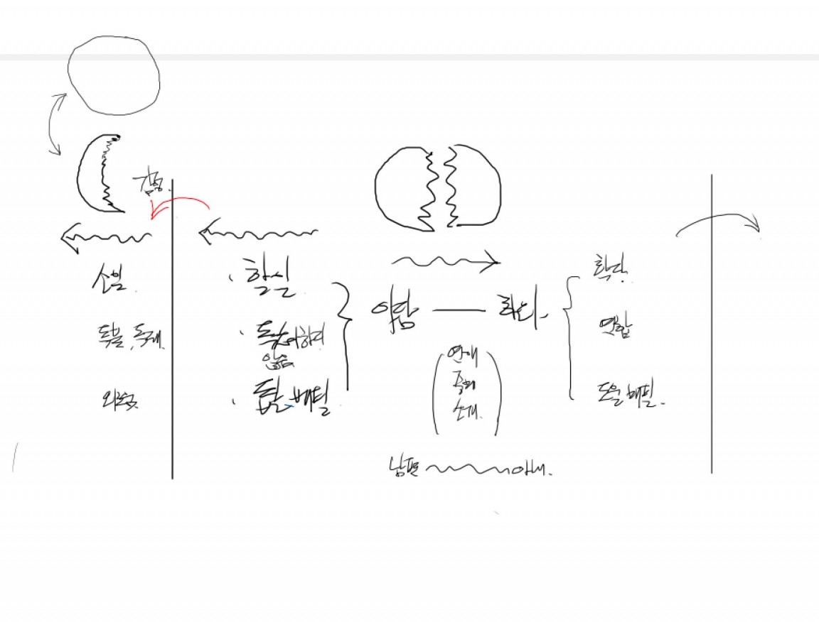 스크린샷 2022-09-08 오후 2.26.03.jpg
