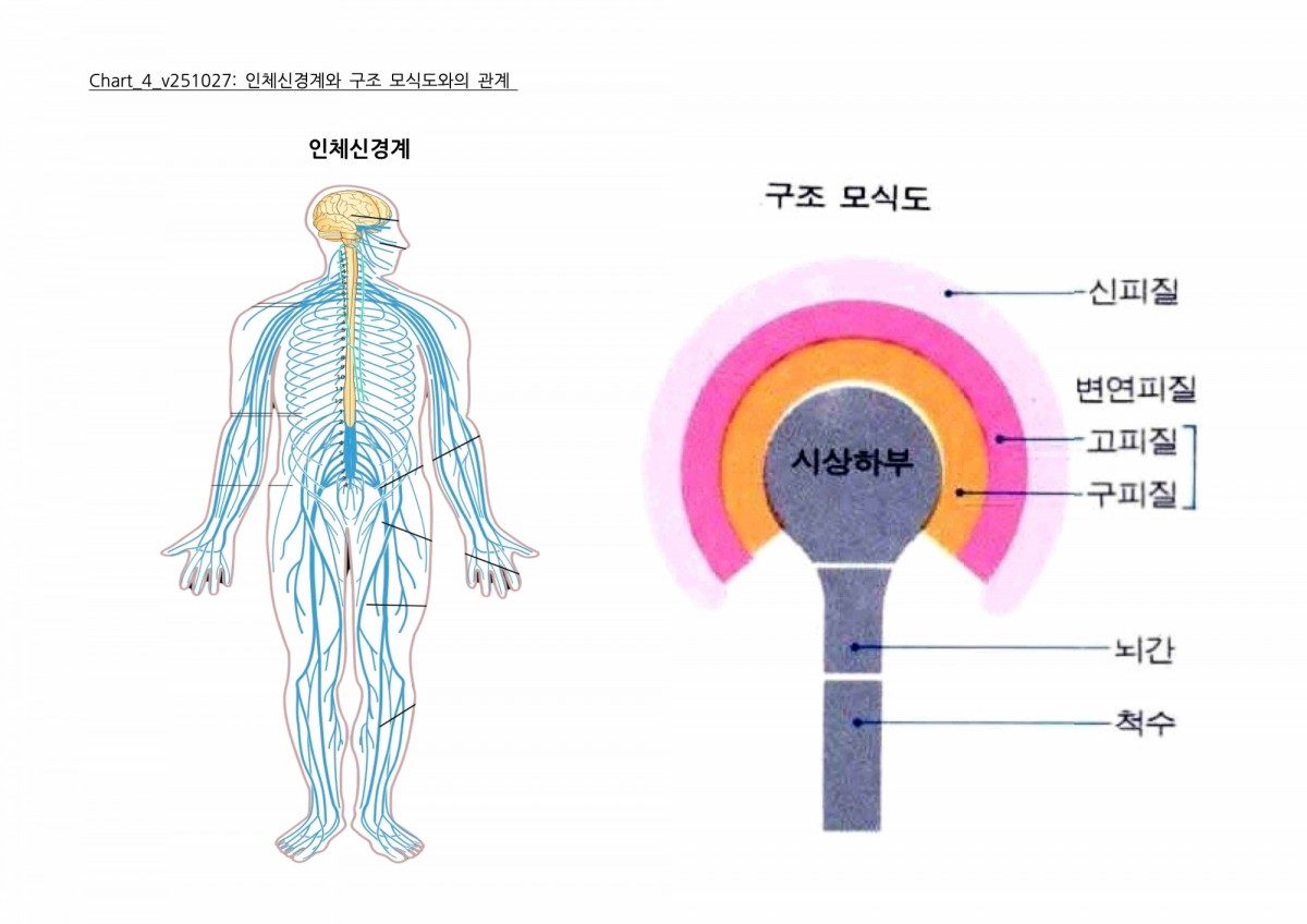 Chart_4_v251026 복사본.jpg